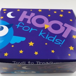 HOOT for Kids Treasure Box Review – February 2017
